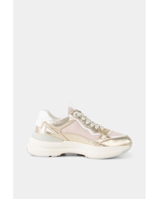 Bogner White Sneaker Ctp25 For