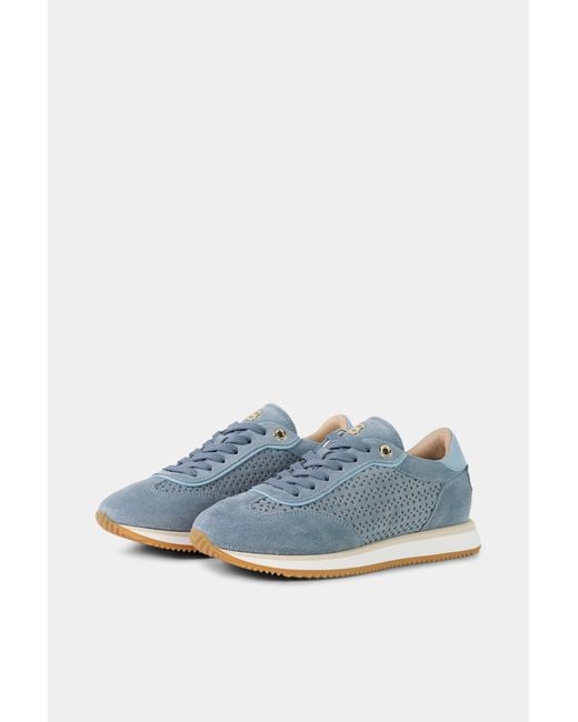 Bogner Blue Padua Trainers