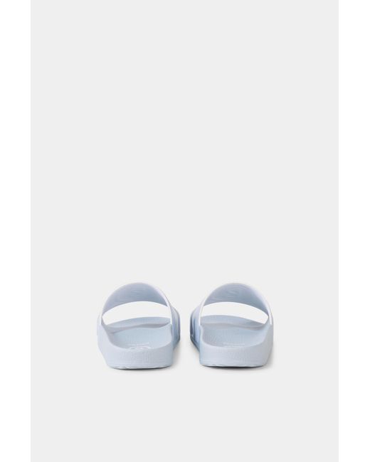 Bogner Blue Slides Belize