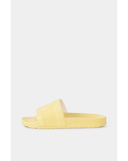 Bogner Yellow Slides Belize