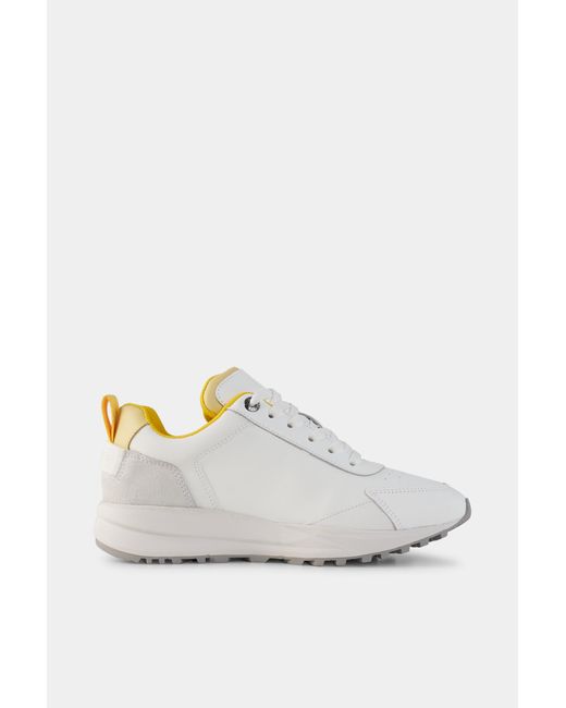 Bogner Multicolor Sneaker Golf