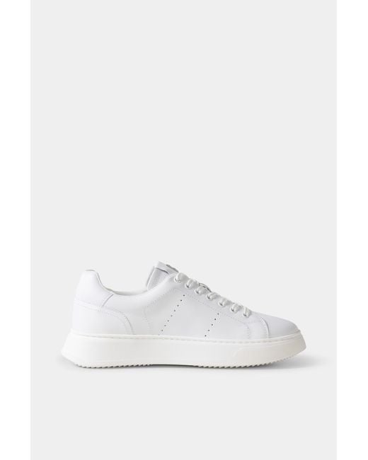 Bogner White Milan Sneaker for men