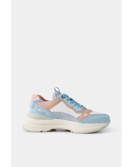 Bogner White Sneaker Ctp25 For