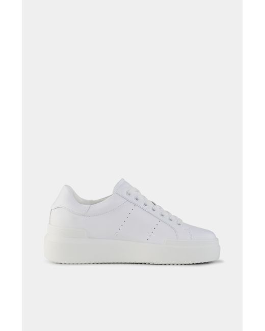 Bogner White Sneaker Hollywood