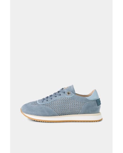 Bogner Blue Padua Trainers