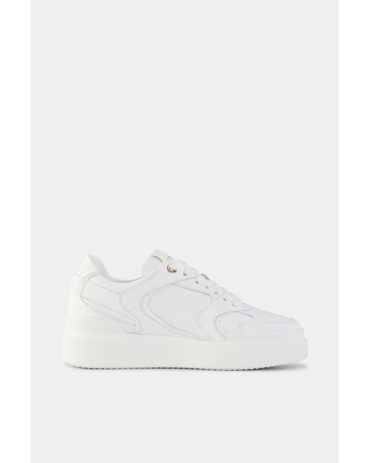 Bogner White Sneaker Hollywood