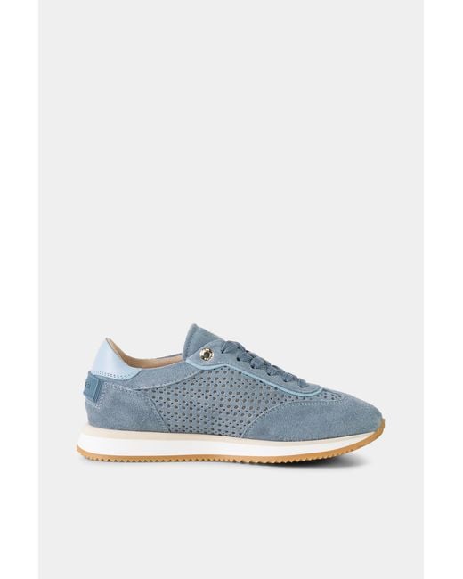 Bogner Blue Padua Trainers
