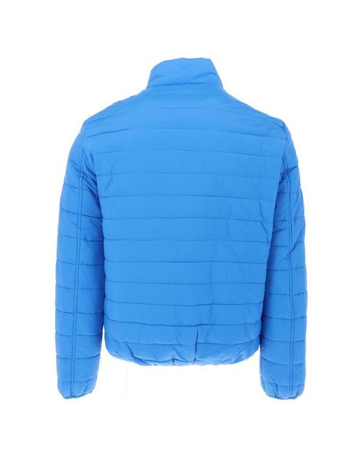 Bluemen tommy hot sale