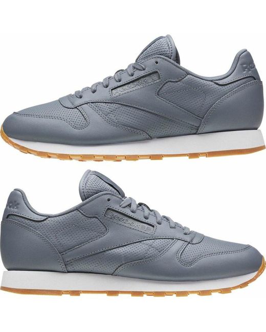 ekko Forespørgsel tryk Reebok Men's Casual Trainers Classic Leather Pg Asteroid Grey in Blue for  Men | Lyst