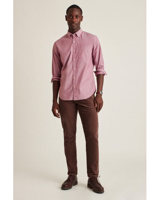 the stretch everyday shirt