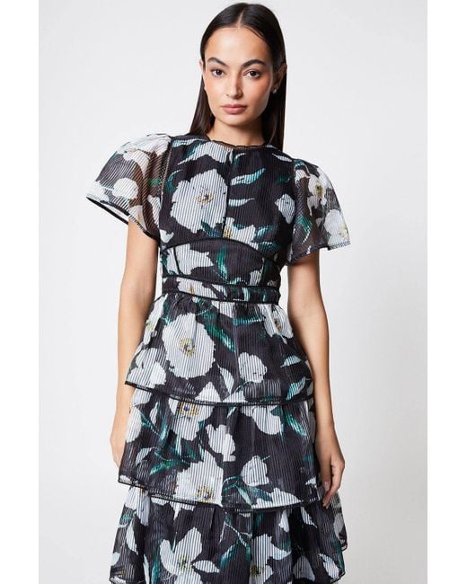 Coast White Stripe Organza Tiered Midi Dress
