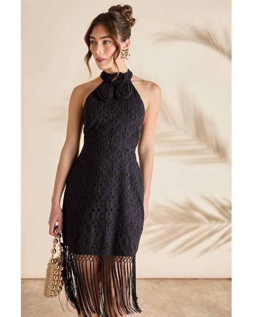 Coast Natural Broderie Embellished Fringe Halter Dress