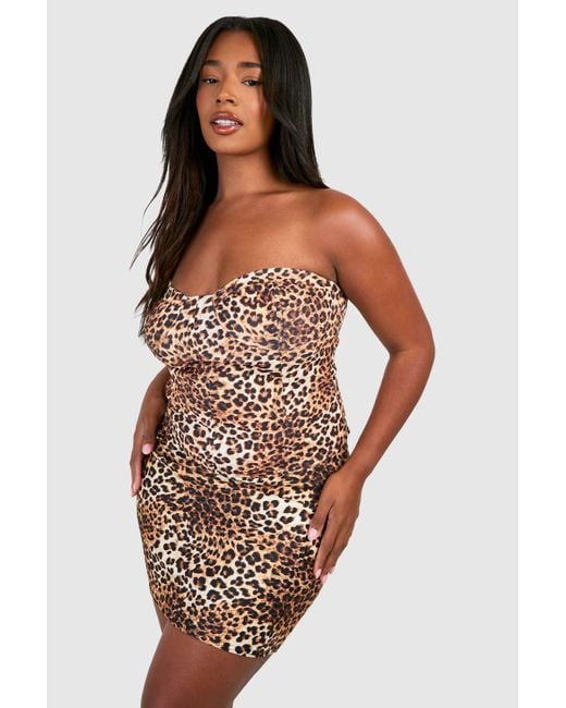 Boohoo Brown Plus Boned Leopard Print Corset