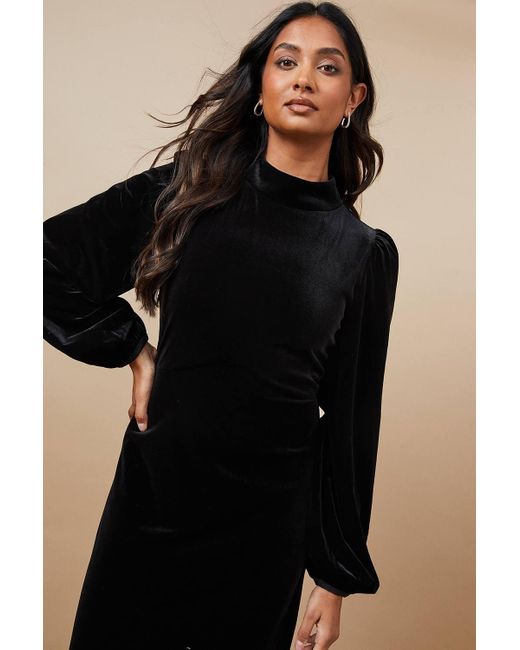 Oasis Black Occasion Velvet High Neck Midi Dress