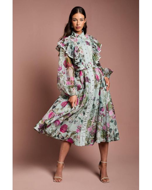 Coast Brown Long Sleeve Printed Organza Shirt Dress