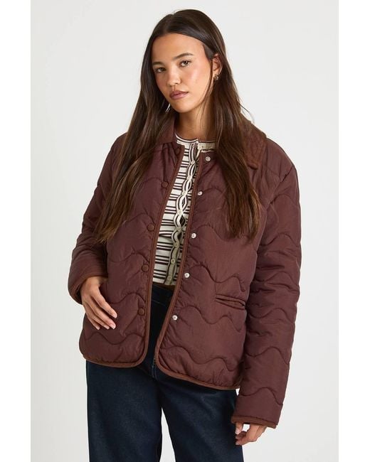 Boohoo Brown Quilted Collared Jacket