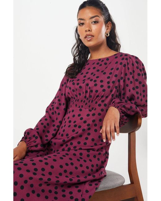 Dorothy Perkins Petite Berry Spot Shirred Waist Long Sleeve Midi Dress