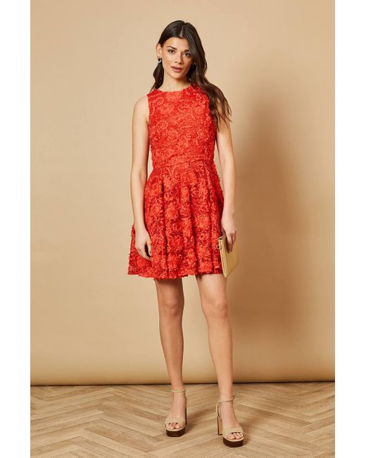Oasis Textured Lace Halter Neck Mini Dress