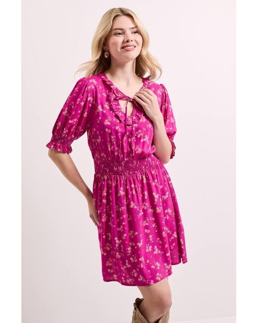 Dorothy Perkins Pink Floral Shirred Waist Tie Neck Mini Dress