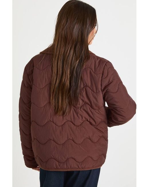Boohoo Brown Quilted Collared Jacket