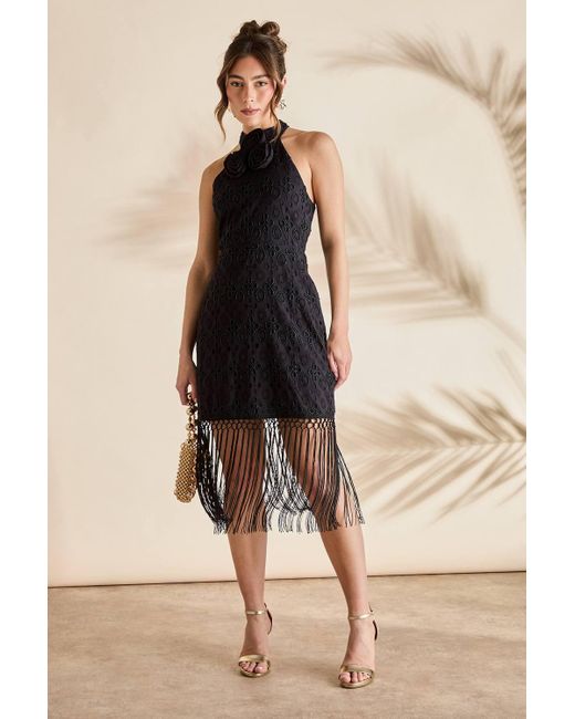 Coast Natural Broderie Embellished Fringe Halter Dress