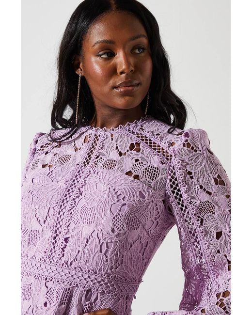 coast lace panelled long sleeve dress Coast Lace Panelled Long Sleeve Dress in Purple