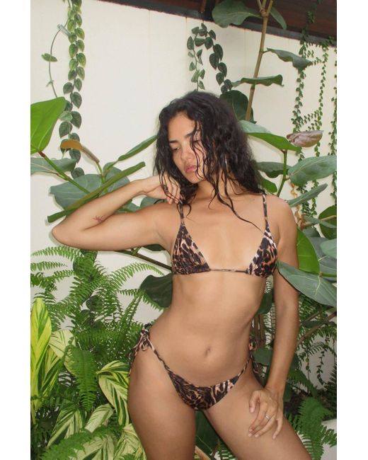 Boohoo Brown Leopard Triangle Tie Bikini Set