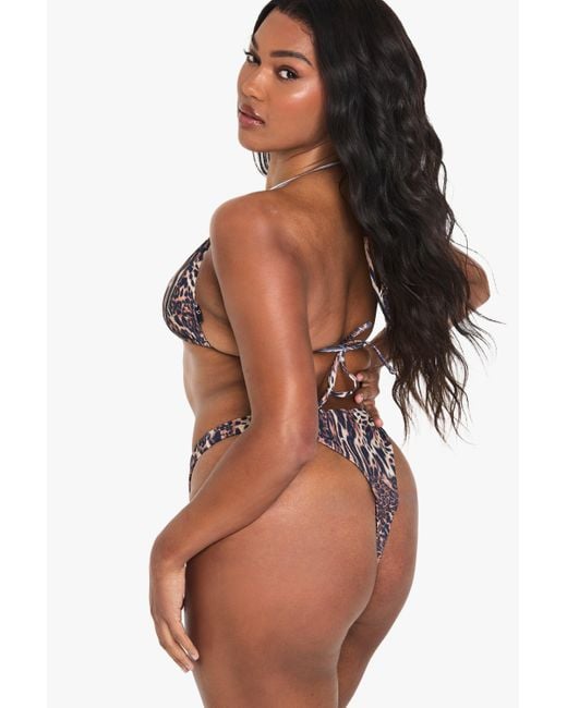 Boohoo Multicolor Plus Swimwear Essentials Leopard Triangle Bikini Top