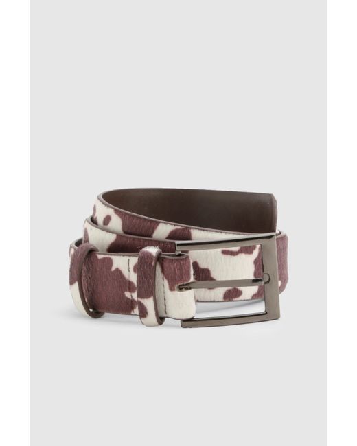 Cinturón Con Estampado De Vaca Boohoo de color Gray