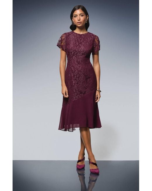 princess polly baby blue dress Blue Brown Diamond Pattern Women's Dress Socks