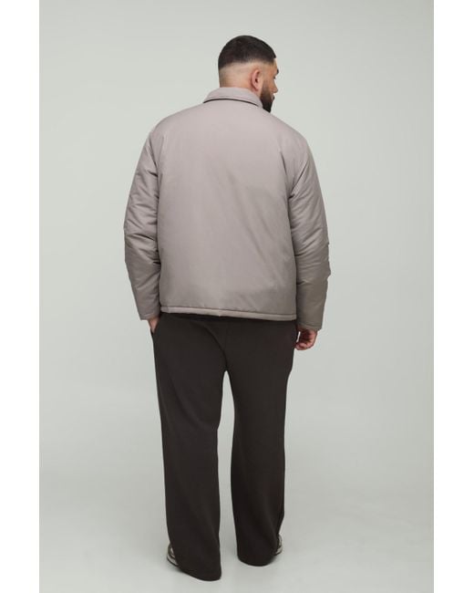 Plus Regular Fit Padded Collared Coach Jacket Boohoo de color Gray