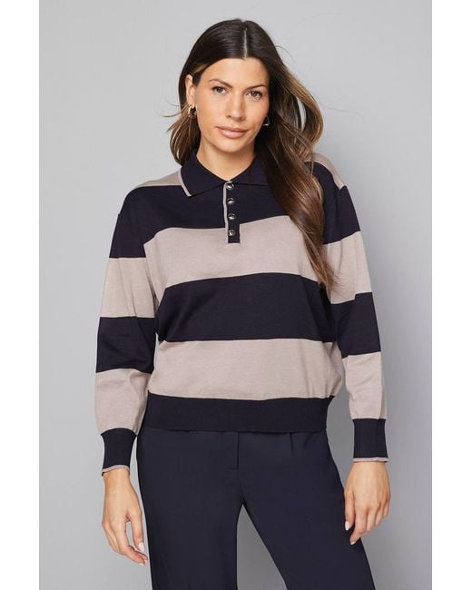 Wallis Blue Collared Polo Striped Sweater