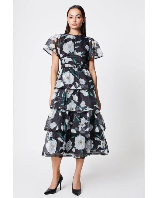 Coast White Stripe Organza Tiered Midi Dress