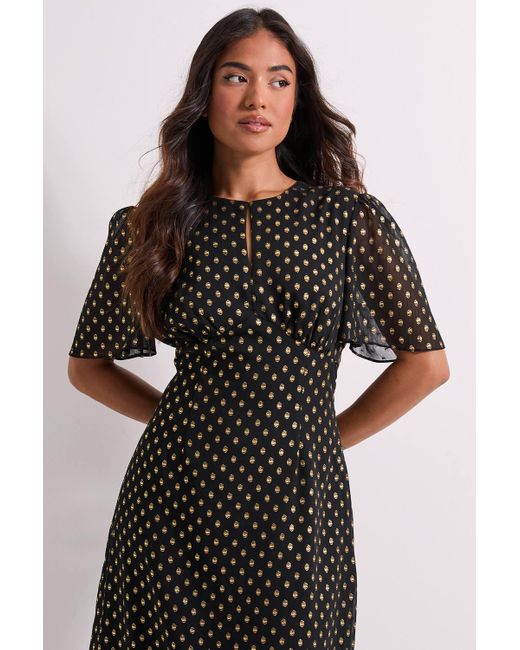 Dorothy Perkins Petite Dp Luxe Metallic Spot Chiffon Ruffle Hem Midi Dress  in Black | Lyst