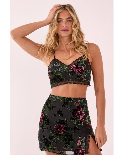 Nasty Gal Black Floral Devore Lace Trim Bralette