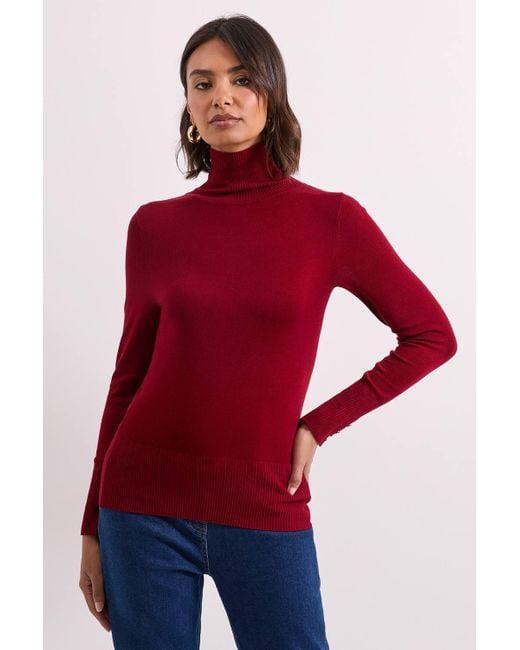 Dorothy Perkins Red Berry Roll Neck Button Cuff Sweater