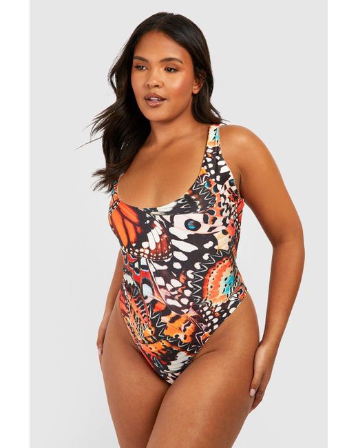 Boohoo Plus Butterfly Print Scoop Bathing Suit in Orange | Lyst
