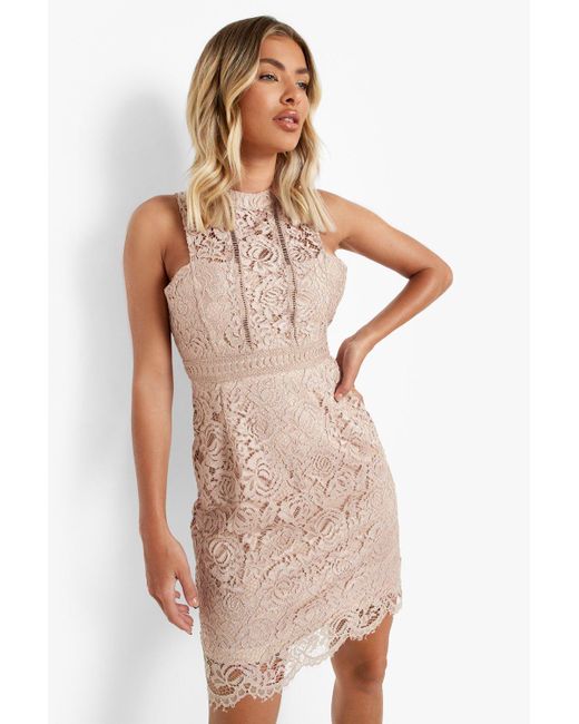 blush lace bodycon dress