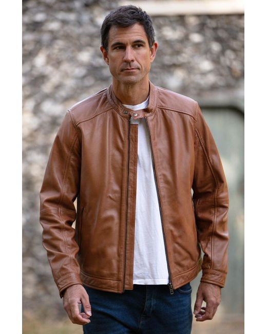 BoohooMAN Brown Ashwood Leather 'niccolo' Studded-button Collar Men's Biker Jacket for men