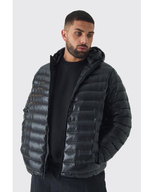 Chaqueta Plus Acolchada Con Capucha Negra De Brillo Intenso Boohoo de color Black