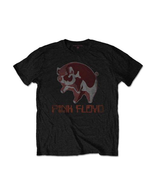 BoohooMAN Black Pink Floyd Pig T-shirt for men