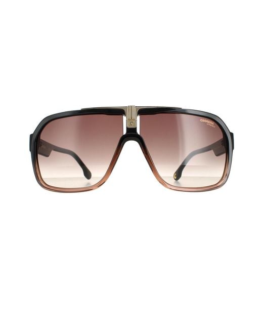 BoohooMAN Carrera Aviator Black Brown Brown Gradient 1014/s for men