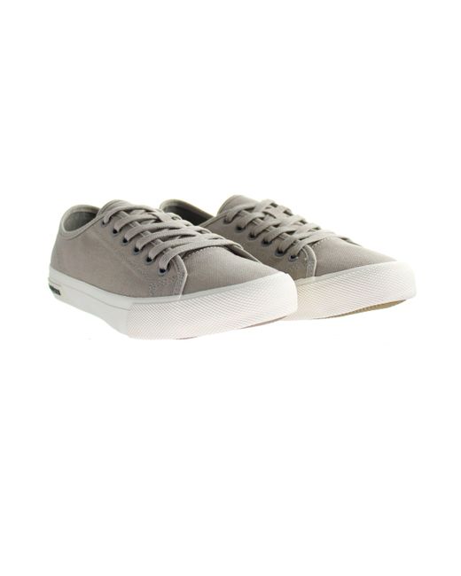 BoohooMAN Seavees Monterey Sneaker Standard Grey Khaki Brown Shoes for men