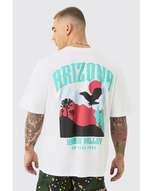 BoohooMAN Gray Oversized Arizona Landscape Back Print T-shirt for men