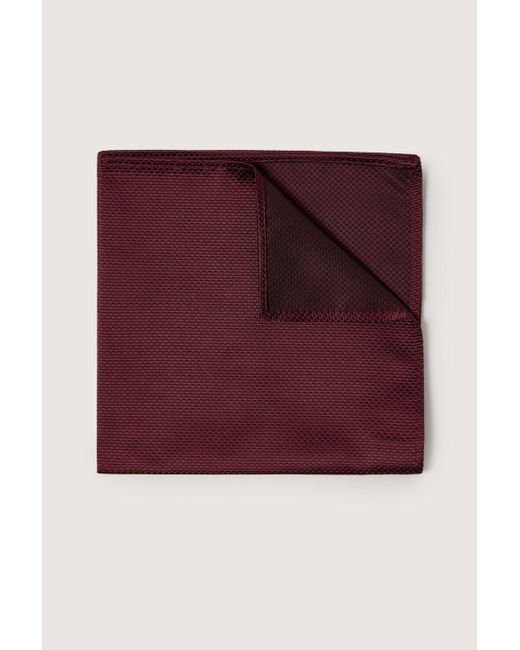 BoohooMAN Purple Antique Rogue Textured Handkerchief for men