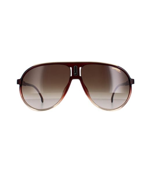 BoohooMAN Carrera Aviator Burgundy Shade Brown Gradient Champion 65/n for men