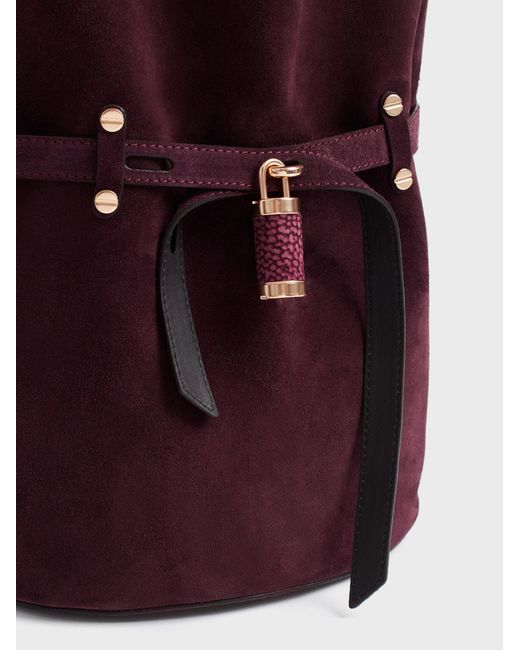 Premiere Secchiello Small di Borbonese in Purple