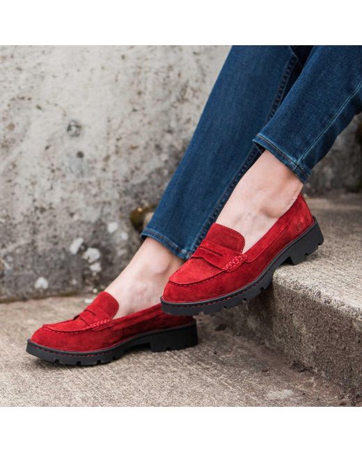 Børn Suede Loire Lyst