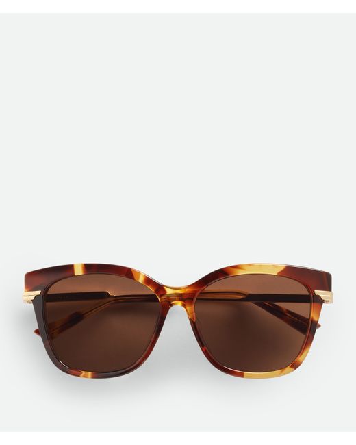 Bottega Veneta Brown Classic Square Sunglasses
