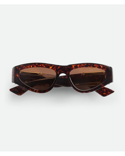 Bottega Veneta Brown Dash Cat Eye Sunglasses